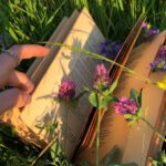книга в руках