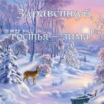 zdravstvuy-gost-zima